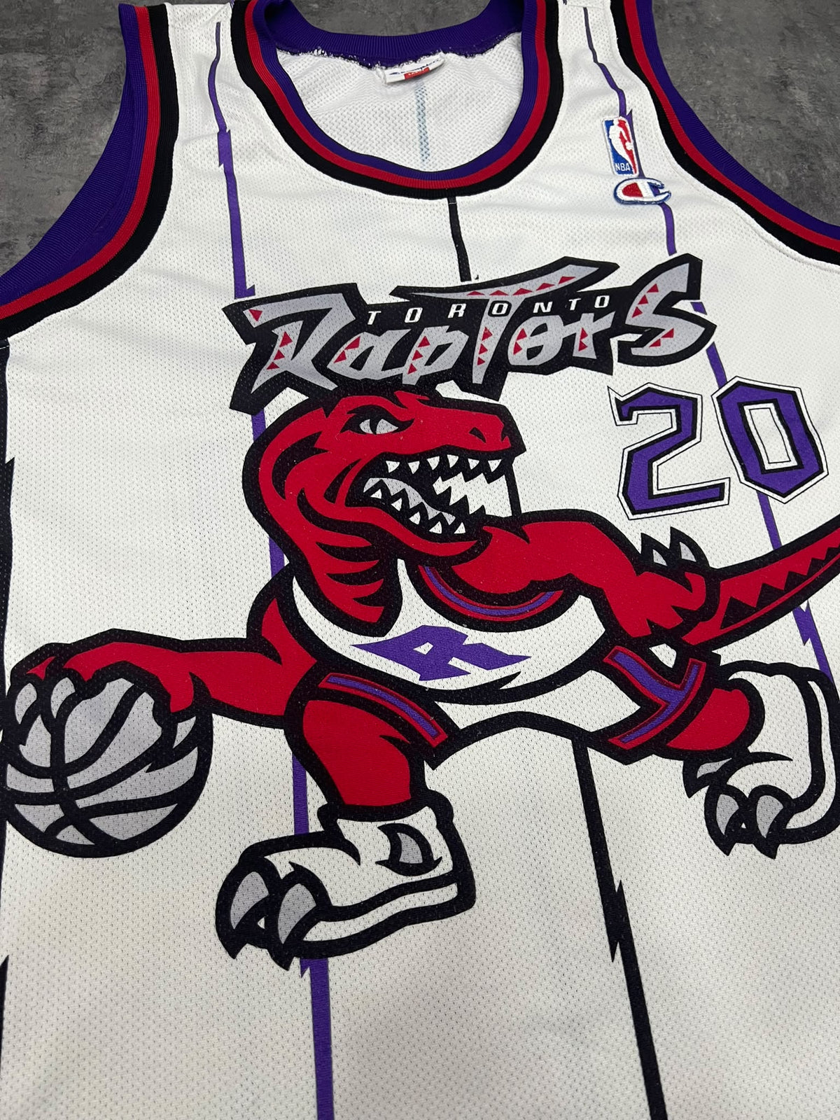 Toronto Raptors Damon Stoudamire #20 Champion 1995 Vintage 90s NBA Jersey
